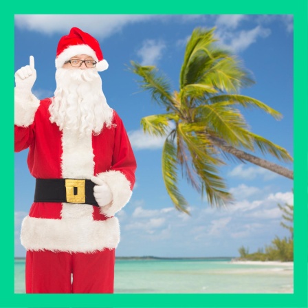 Hat man in Ländern, in denen es keine Tannen gibt, Palmen als Weihnachtsbaum?