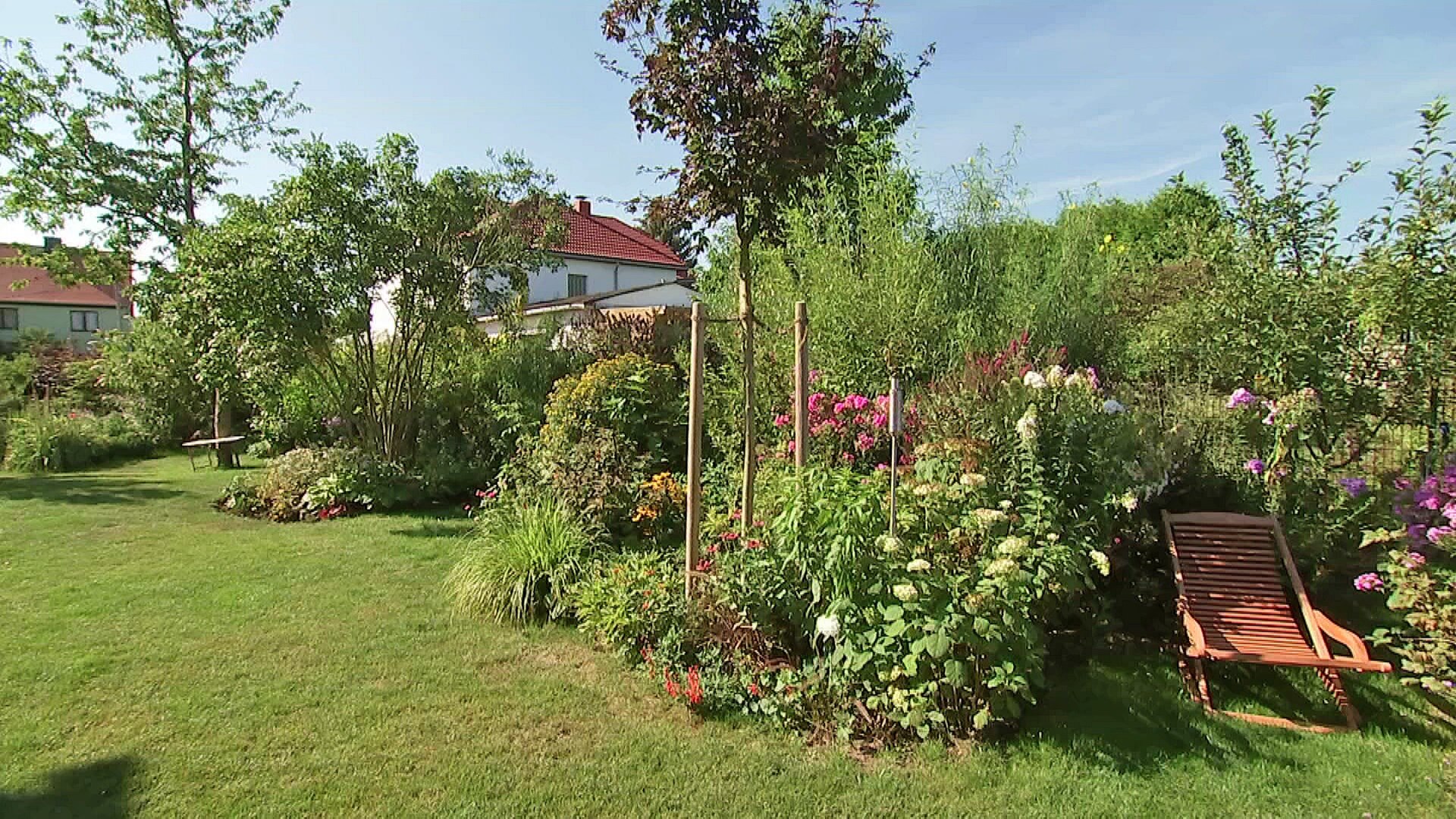 MDR Garten Statt Thuja Eine gemischte Hecke gestalten ARD Mediathek