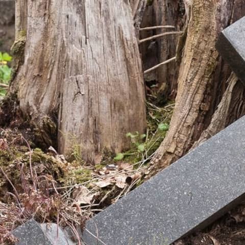Umgestürztes Granitkreuz vor Baumstumpf
