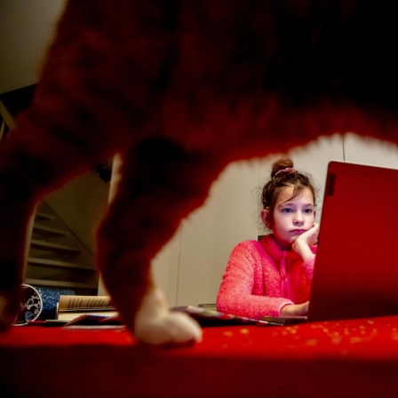 Durch die Beine einer Katze hindurch sieht man, wie ein Mädchen gelangweilt auf einen Laptop schaut.