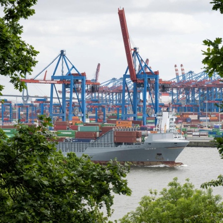 Blick auf den HHLA Container Terminal Burchardkai CTB im Hamburger Hafen. Es sind Krane und ein Containerschiff zwischen Bäumen zu sehen.