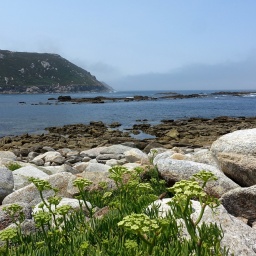 Eine Landschaft mit Meer und Grün an der Küsten von Galicien