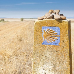 Ein Wegweiser in Spanien trägt das Symbol des Jakobswegs: eine gelbe Muschel auf blauem Grund.