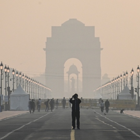 Das India Gate in Neu Delhi im Smog 