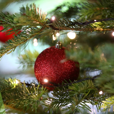 Exquisit Grafik die einen Weihnachtsbaum mit Christbaumkugel zeigt