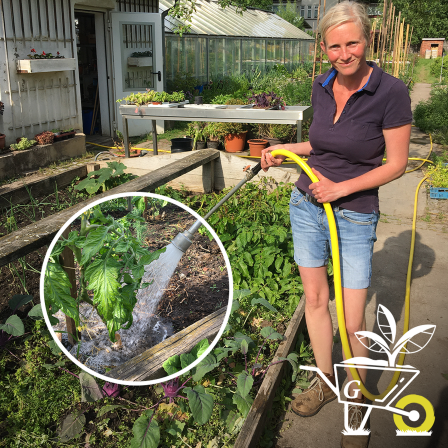 Gärtnerin Antje Lobenstein gießt den Garten.