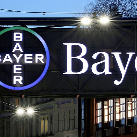 Bayer-Logo