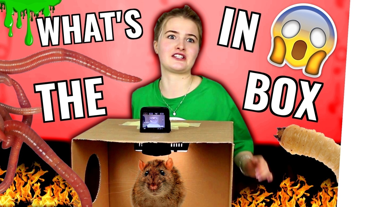 What's in the Box Challenge 2