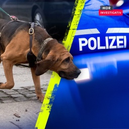 Spürhund er Polizei im Einsatz