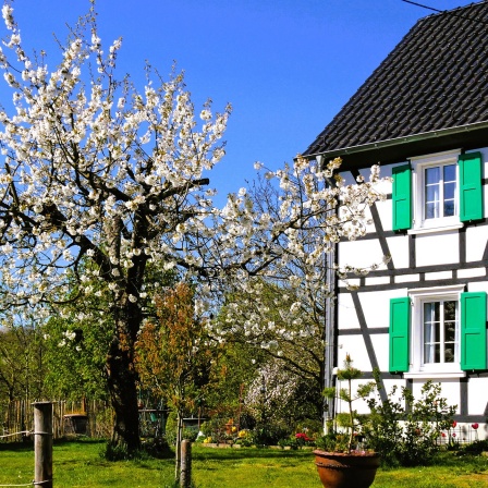 Wandern auf dem Obstweg Leichlingen