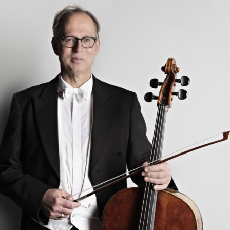 Mario Blaumer, Violoncello