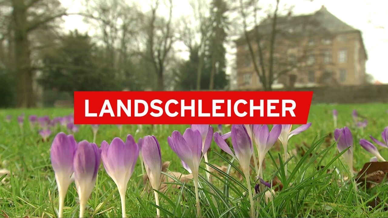 rbb24 Brandenburg aktuell In Lobetal ARD Mediathek