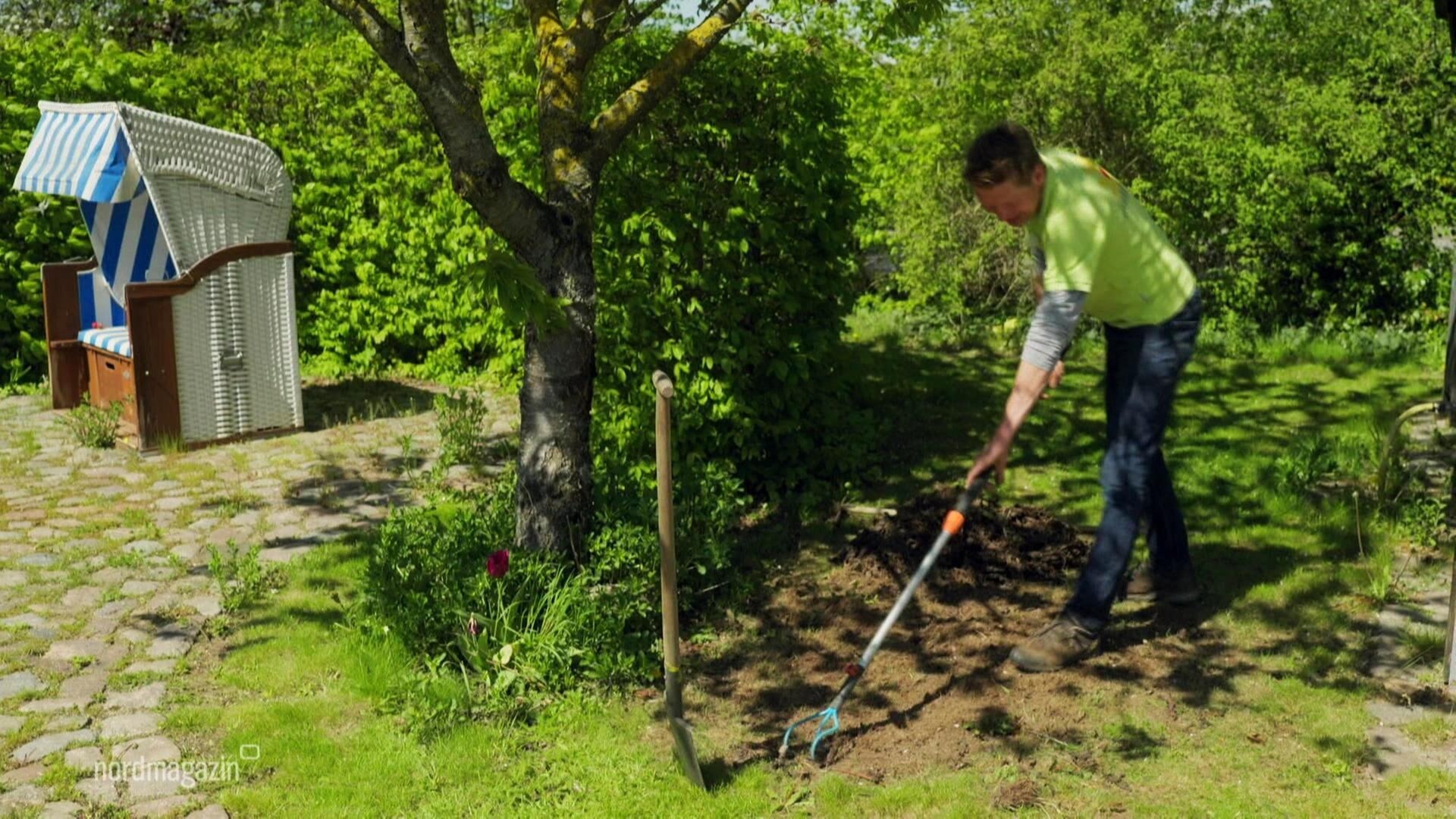 Nordmagazin 'Rasch durch den Garten' Wildblumenwiese anlegen ARD