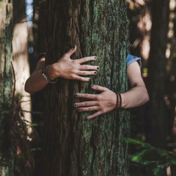 Eine Person mit lackierten Nägeln umarmt einen Baum.