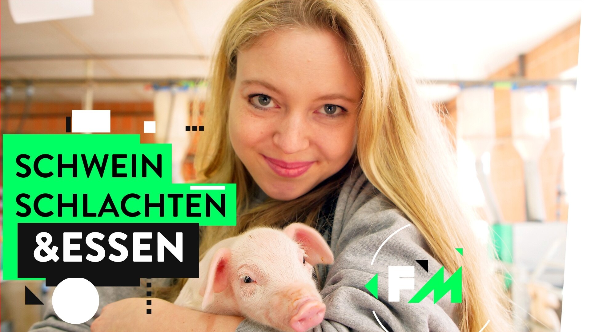 follow-me-reports-tiere-t-ten-essen-hannah-im-schlachthof-ard