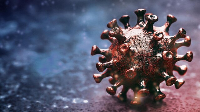 Coronavirus-Variante Omikron | Bild: BR