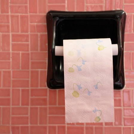 Geblümtes Klopapier hängt an einem Wandhalter vor rosa Kacheln: Am 26. August ist der Tag des Toilettenpapiers