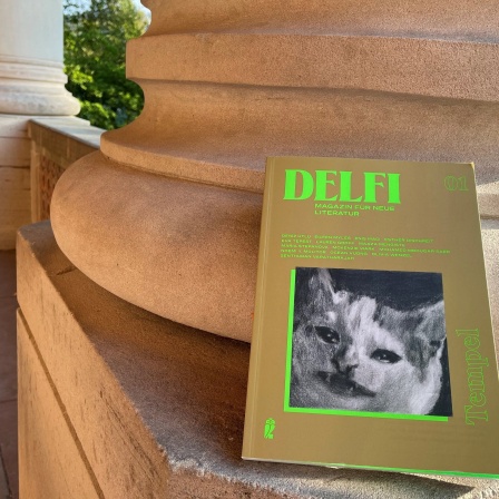 Delfi - Magazin für neue Literatur