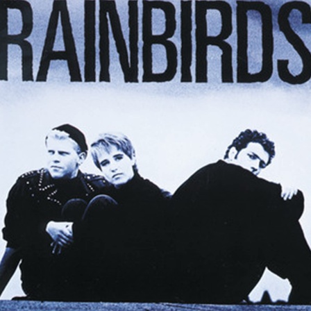 1987 veröffentlichte die deutsche Band &#034;Rainbirds&#034; rund um Sängerin Katharina Franck ihr gleichnamiges Debütalbum. Der größte Hit der Band ist bis heute ihr Song &#034;Blueprint&#034;.