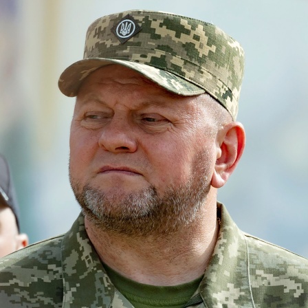Ex-Armeechef Ukraine, Waleryj Saluschnyj