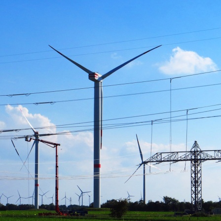 Windkraftanlagen zwischen Stromleitungen auf einer großen Wiese