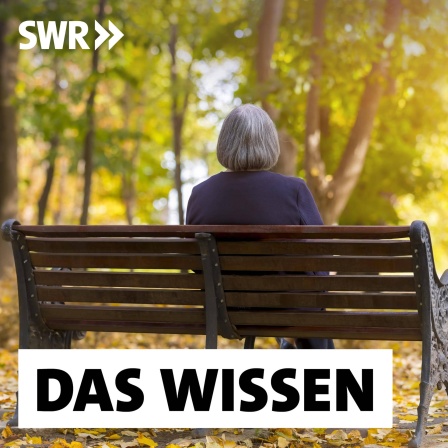 Ältere Frau sitz in einem Herbstwald einsam auf einer Bank: Einsamkeit ist ein wachsendes gesellschaftliches Problem. Unterschiedliche Projekte sollen einsamen Menschen helfen