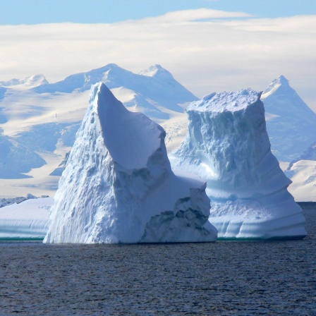 Treibende Eisberge in der Paradise Bay, Antarktis