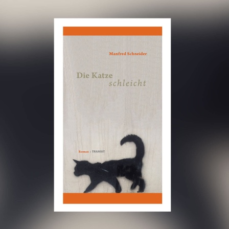 Manfred Schneider - Die Katze schleicht 