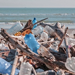 Plastikflaschen und anderer Müll liegen an einem Strand.