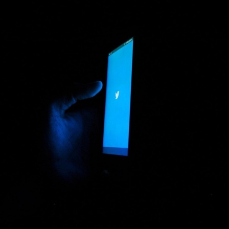 Eine Hand hält ein Smartphone mit blauem Twitterlogo auf dem Display in der Dunkelheit.