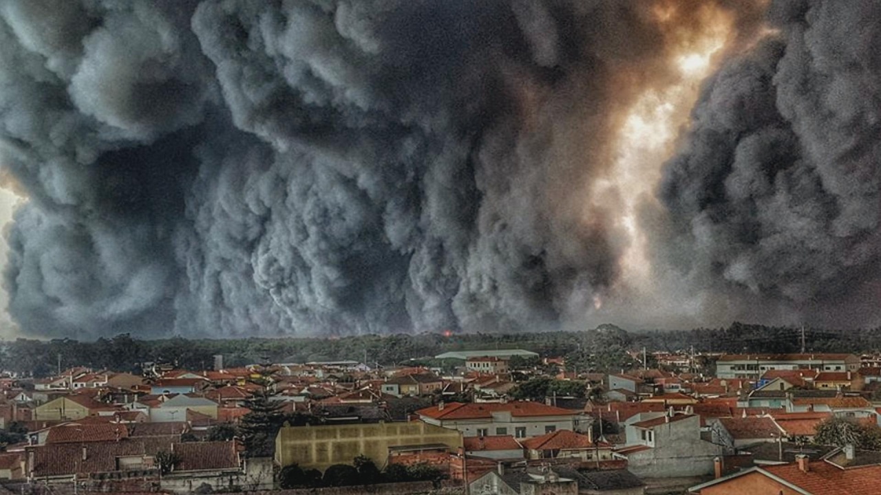 Vom Feuer bedroht: Waldbrand in Portugal