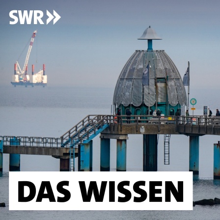 Die Offshore-Arbeitsplattform &#034;JB119&#034; und der LNG-Tanker &#034;Seapeak Hispania&#034; im März 2023 auf der Ostsee vor dem Ostseebad Sellin: Schon heute ist fast jeder Quadratkilometer der deutschen Ostsee verplant und der Druck auf das kränkelnde Meer nimmt weiter zu. Schifffahrt und Fischerei verlangen Platz. Für die Energiewende sollen weitere Offshore-Windparks errichtet werden. Und Umweltorganisationen fordern größere Meeresschutzgebiete.