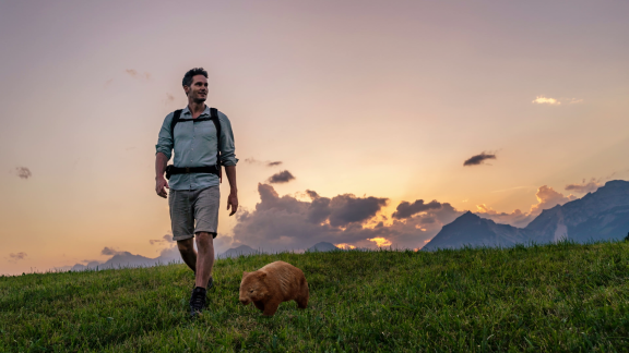 Wer Weiß Denn Sowas? - Was Wurde Auf Der Tourismus-webseite Von Tasmanien Gesucht.