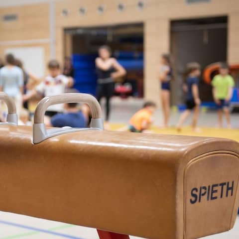 Ein Pauschenpferd steht während des Sportunterrichts in der Sporthalle einer Grundschule.