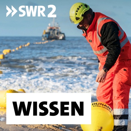 Ein Techniker arbeitet 2020 am atlantischen Unterseekabel &#034;Dunant&#034; von Google in Saint-Hilaire de Riez in Westfrankreich. &#034;Dunant&#034; ist ein privates, 6.600 Kilometer langes transatlantisches Kommunikationskabel, das die Vereinigten Staaten (Virginia Beach) mit Frankreich (Saint-Hilaire-de-Riez) verbindet. Unzählige Kabel durchziehen die Weltmeere - das Rückgrat der globalen Kommunikation und der Energiewende. Doch die wichtige Infrastruktur ist angreifbar. Wie lässt sie sich schützen?