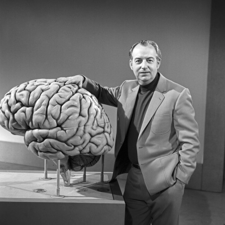 Professor Hoimar von Ditfurth im Fernsehen mit einer Plastik des menschlichen Gehirns