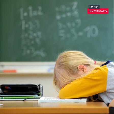 MDR investigativ - Schule am Limit