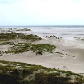 Blick auf einen Amrumer Strand (Foto: rbb / Tina Witte)