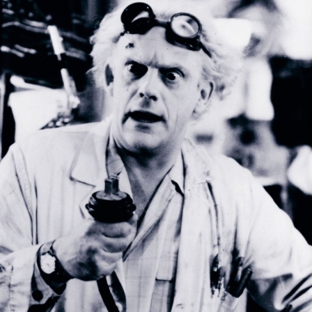 Wissenschaftler Doc Brown aus Zurück in die Zukunft