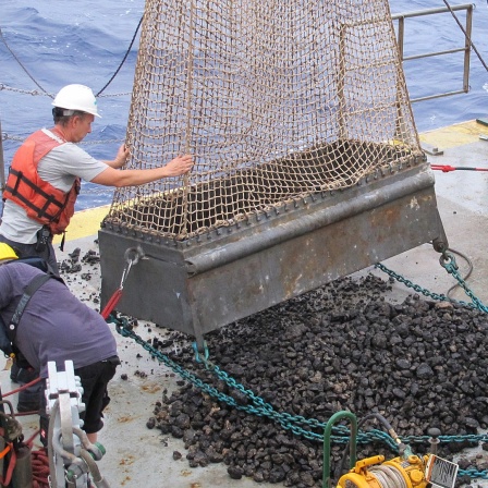 Wissenschaftler schütten Manganknollen aus einem Netz auf ein Forschungsschiff (Themenbild).