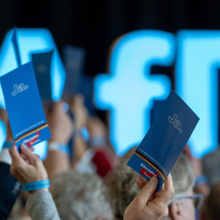 Mehrere Hände halten blaue Zettel mit &quot;&quot;Ja&quot; und AfD-Logo hoch. 