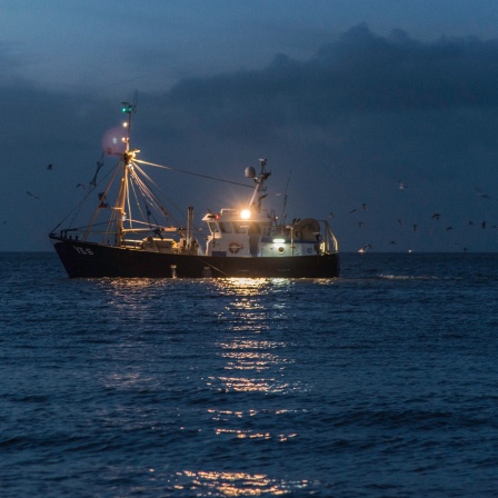 Ein Fischkutter fährt auf einer dunklen Nordsee.