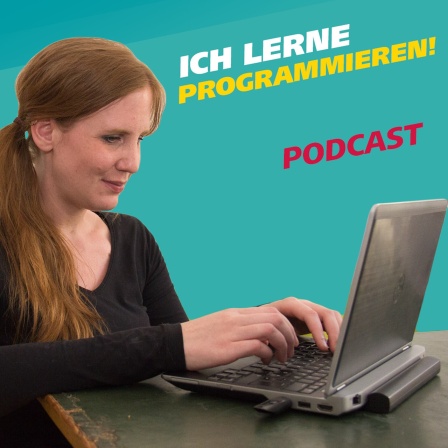 Reporterin Daniela Schmidt ist eine junge Frau, die an einem Laptop sitzt und arbeitet.