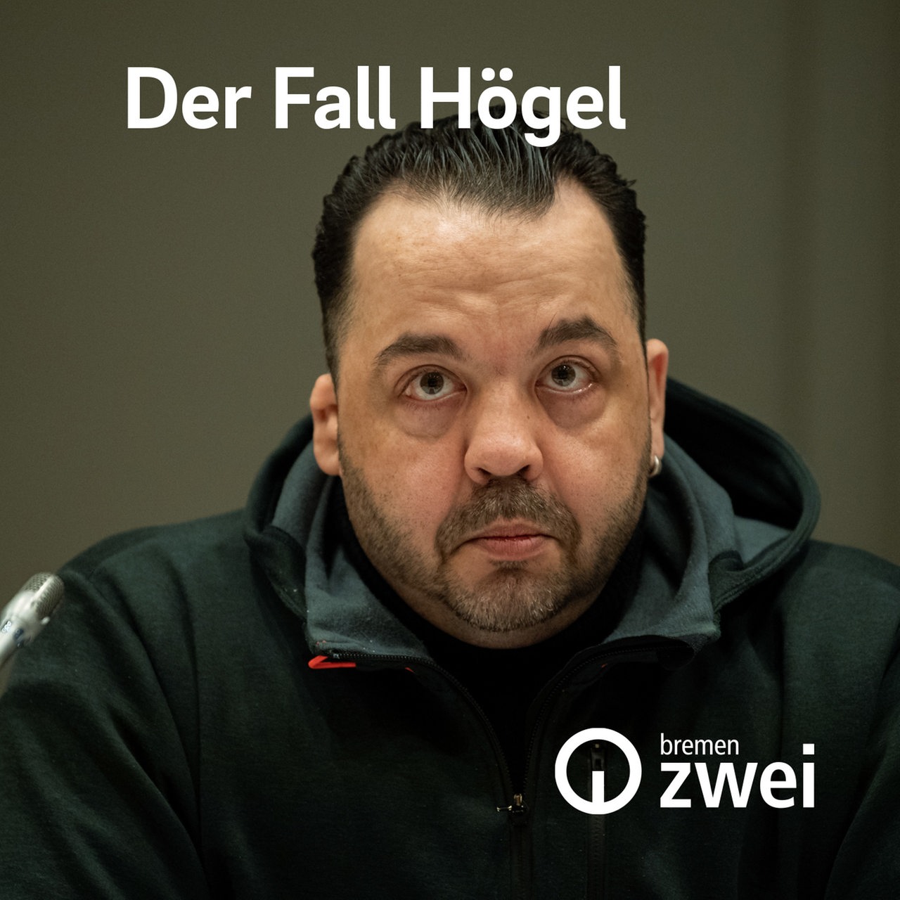 Der Fall Högel · Podcast in der ARD Audiothek