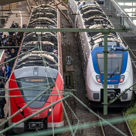 Zwei Züge stehen am Wuppertaler Hauptbahnhof