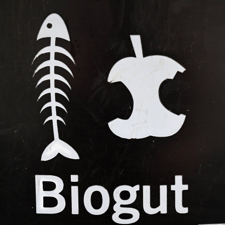 Biogut-Tonne der BSR Berliner Stadtreinigung