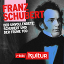 Franz Schubert | Der Unvollendete: Schubert und der frühe Tod (19/21) © dpa/Fine Art Images/Heritage Images