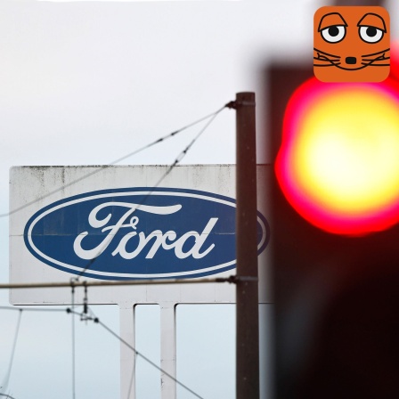 Das Logo des Autobauers Ford an seinem Standort in Köln neben roter Ampel