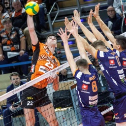 12.11.24, Berlin, Volleyball: CEV Champions League, BR Volleys gegen ACH Volley Ljubljana. Berlins Jake Hanes spielt den Ball über das Netz (Bild: IMAGO/Andreas Gora)