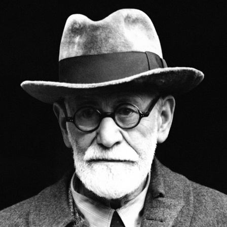 Freuds Psychoanalyse - Die relativierte Revolution
